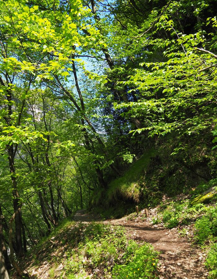 cascate-calabritto-01