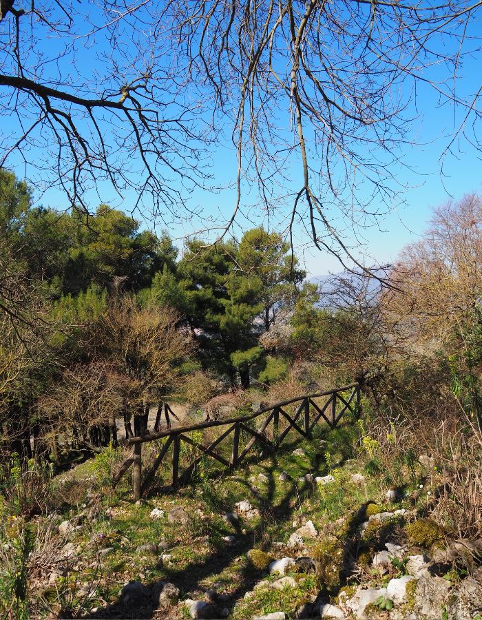 castrum-olibani-01
